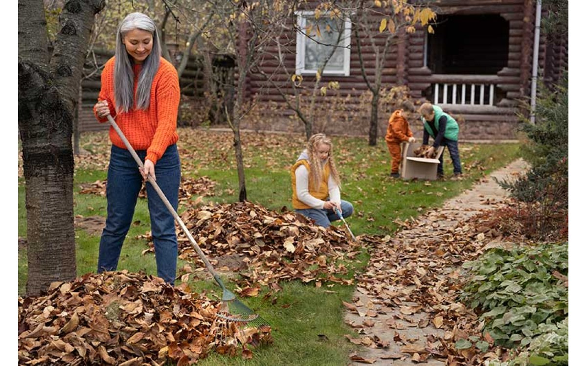 Cuidados de tu jardín en otoño